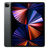 Ремонт планшета Apple iPad Pro 12,9 (2021)