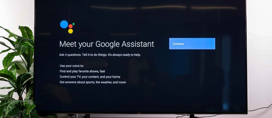 Google Assistant