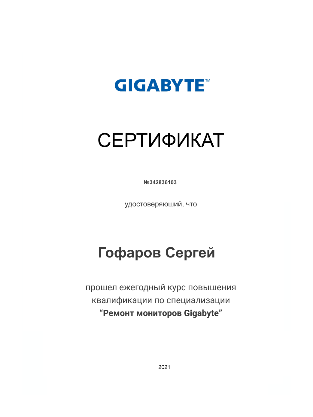 Gigabyte Gigabyte3