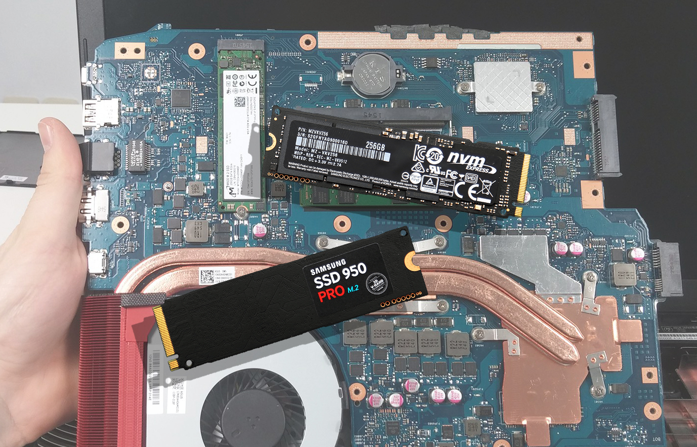 Asus asus-notebooks