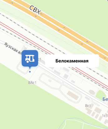 Белокаменная belokamennaya