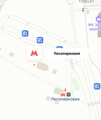 Лесопарковая lesoparkovaya