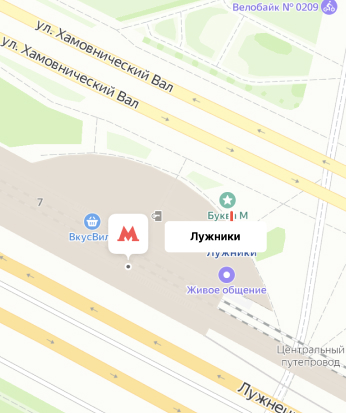 Лужники luzhniki