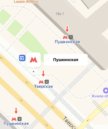 Пушкинская pushkinskaya